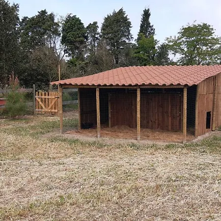 Casa Da Ria - Casa de Campo