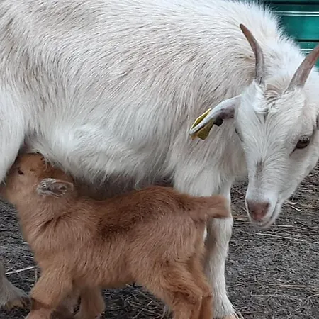Casa de Campo Casa Da Ria - *