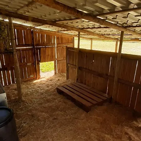 Casa de Campo Casa Da Ria - *