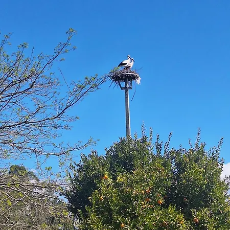 Casa Da Ria - Casa de Campo Ílhavo