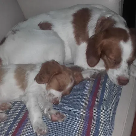 Casa Da Ria - Ílhavo