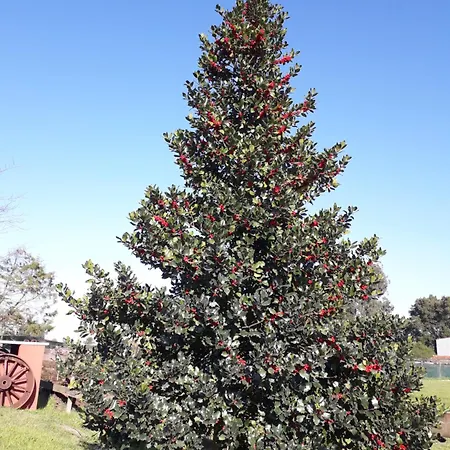 Casa Da Ria - Casa de Campo