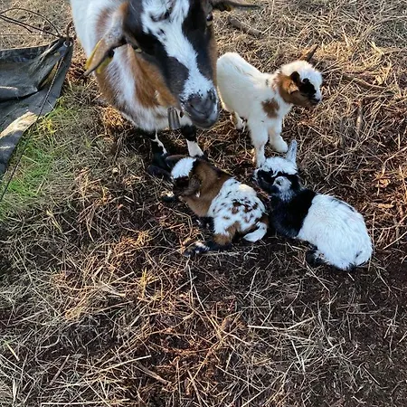 Casa de Campo Casa Da Ria -