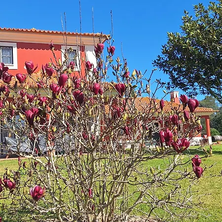 Casa rural Casa Da Ria - *