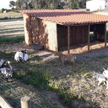 Casa Da Ria - Casa de Campo *