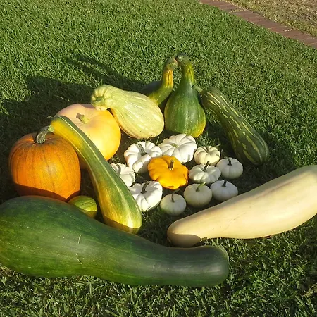 Casa de Campo Casa Da Ria - *