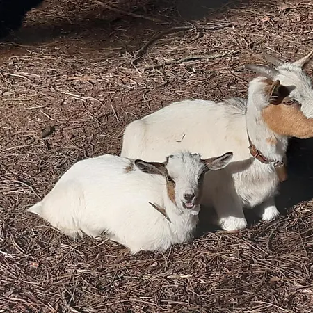 Casa Da Ria - Casa de Campo Ílhavo