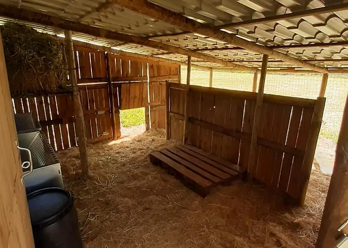 カントリーハウス Casa Da Ria - *