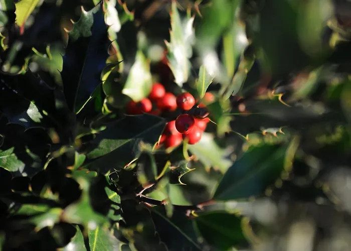 Casa Da Ria - * Ílhavo