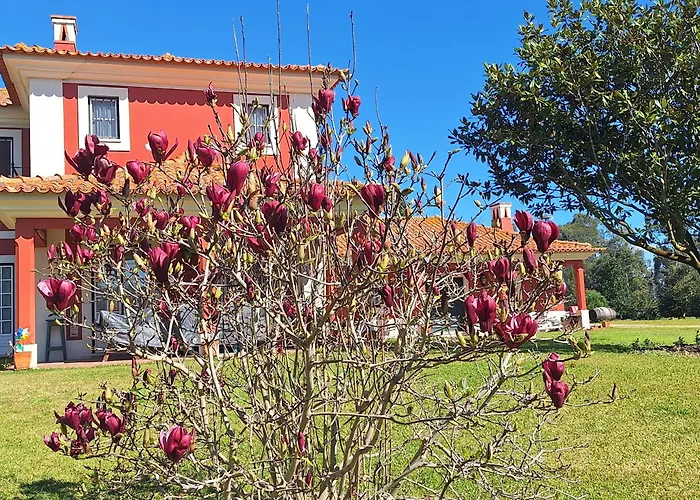 カントリーハウス Casa Da Ria - *