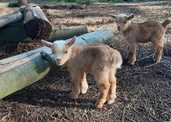 Casa Da Ria - カントリーハウス Ílhavo
