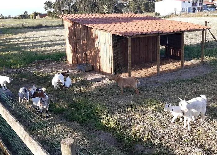 Casa Da Ria - カントリーハウス *