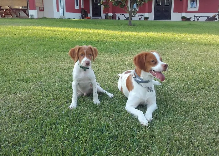 Casa Da Ria - Ílhavo