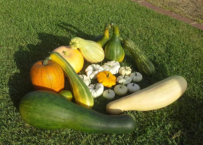 カントリーハウス Casa Da Ria - *