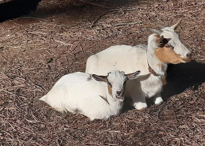 Casa Da Ria - カントリーハウス Ílhavo